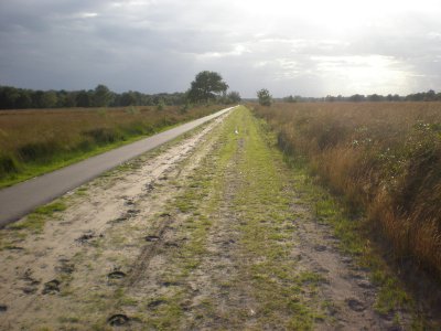 Boxtel-Tilburg, terugweg door de Kampina Boxtel-Tilburg, terugweg door Kampina