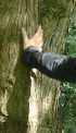 Trenchcoat 2007 (10)