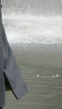 Trenchcoat 2007 (12)