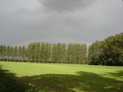 Veld langs de Geelderseweg, met vage regenboog Veld langs de Geelderseweg